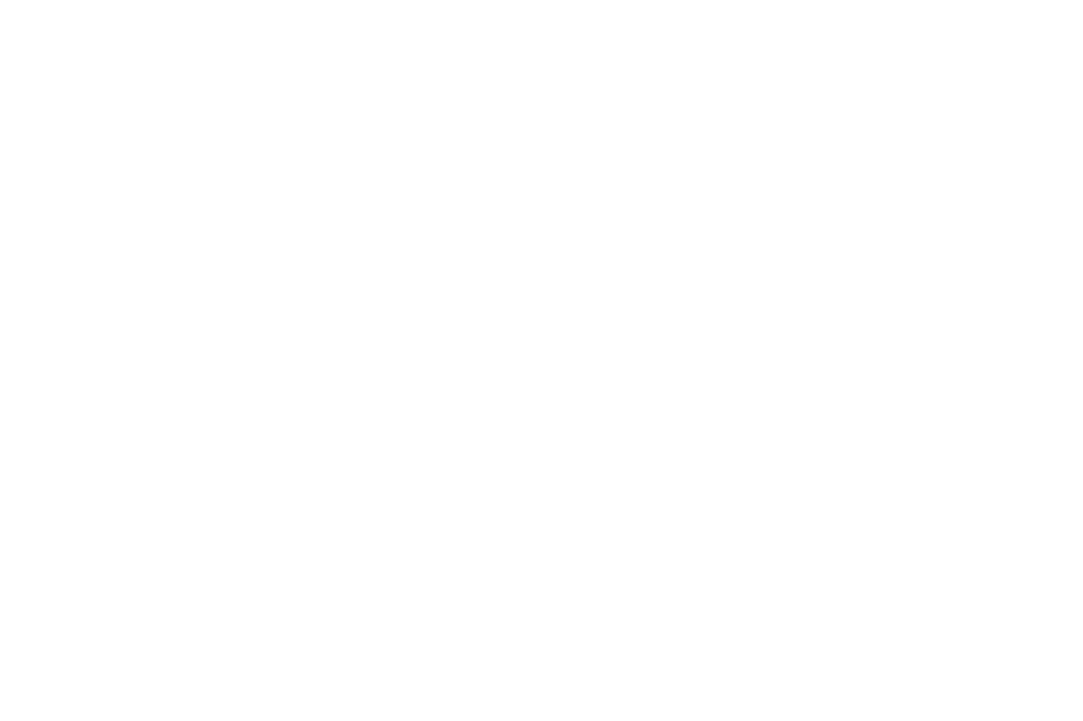 Logo Balzac les chocolats